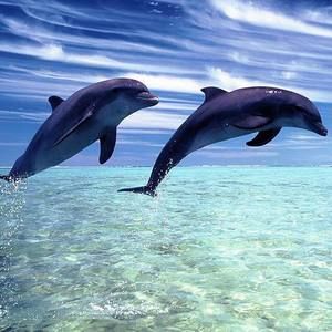 Meet your Posher, Jaida